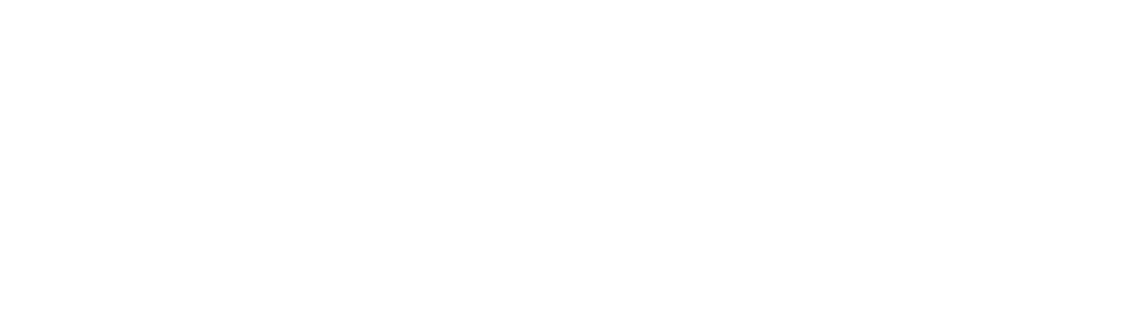 NDCON Logo White